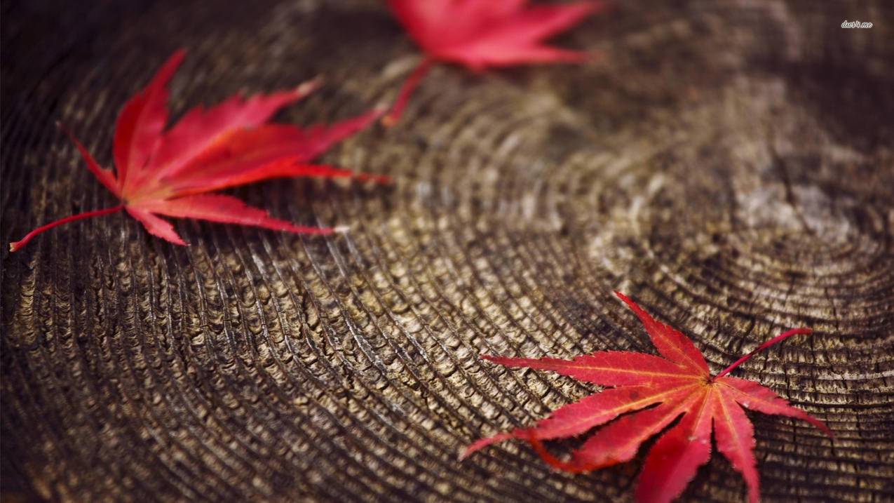 初中数学如何有效教学？提升学生学习兴趣与成绩的方法 - 初中教育 - ks24小时自助