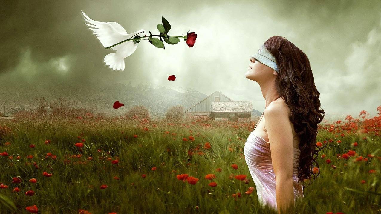 小红书如何上传笔记？简单步骤教程 - 网络资讯 - ks业务下单