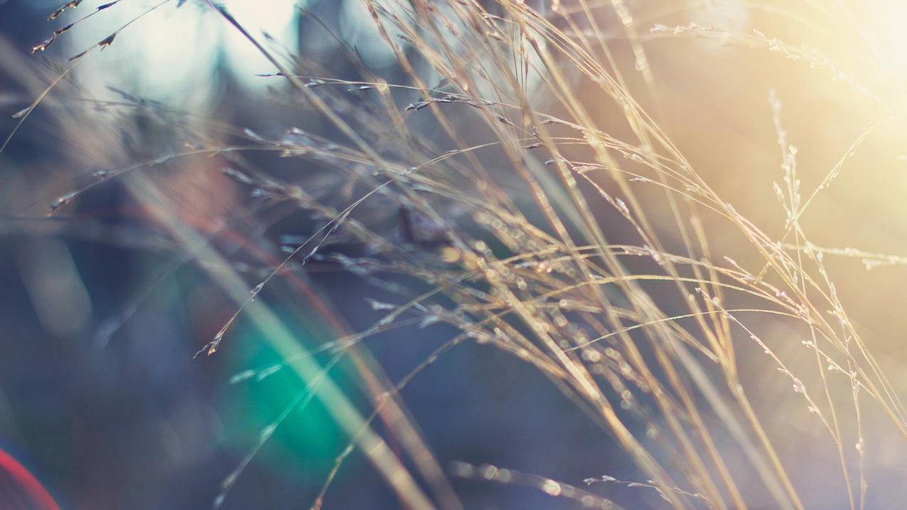 油管主播的生活剪辑高分技巧_油管主播的生活音乐教学视频 - youtube相关 - 55dz账号网