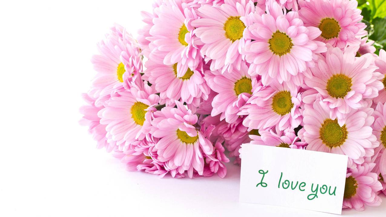 zoom怎么设置自己静音_Zoom里面静音在哪里设置 - zoom相关 - 55dz账号网