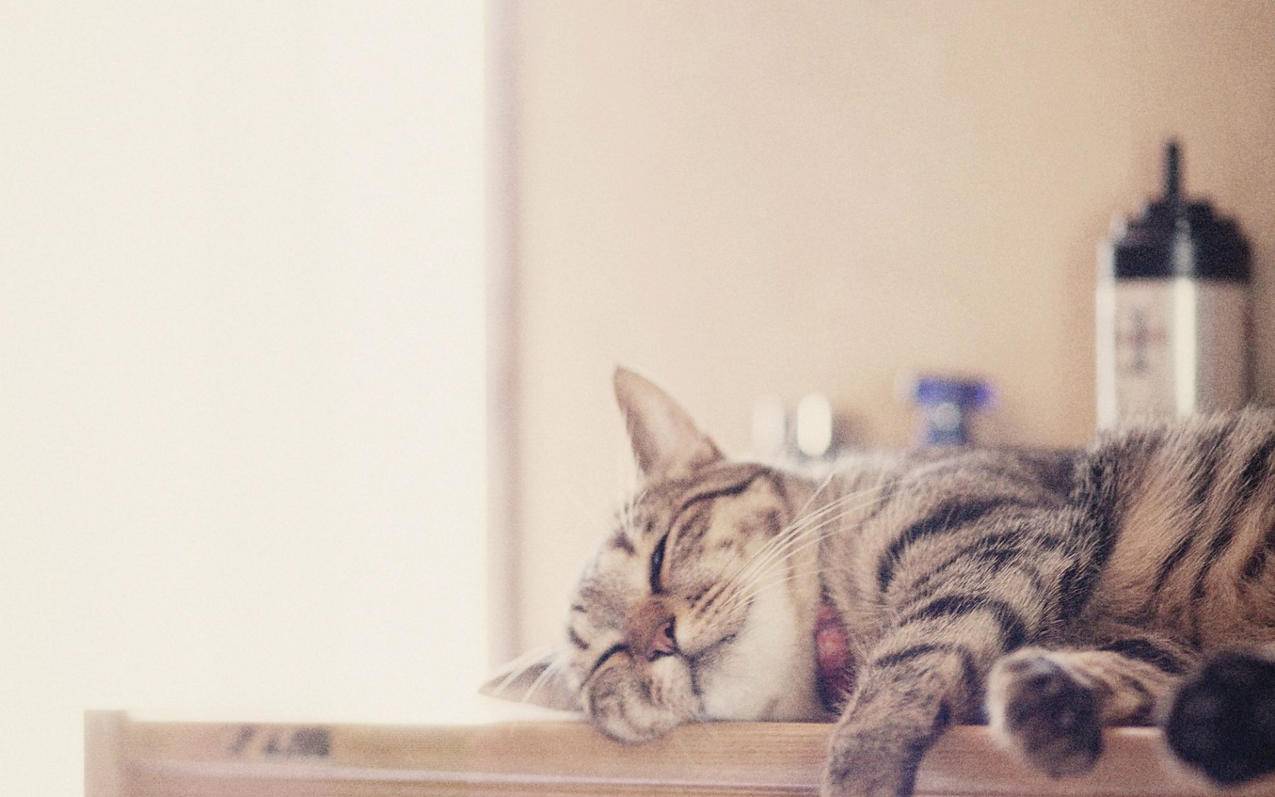 包含美国id下载不了netflix的词条 - 各区苹果ID - 55dz账号网