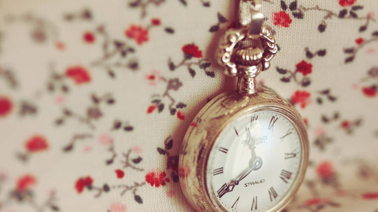 zoom电脑版怎么用apple登录_zoom电脑版如何登录 - zoom相关 - 55dz账号网