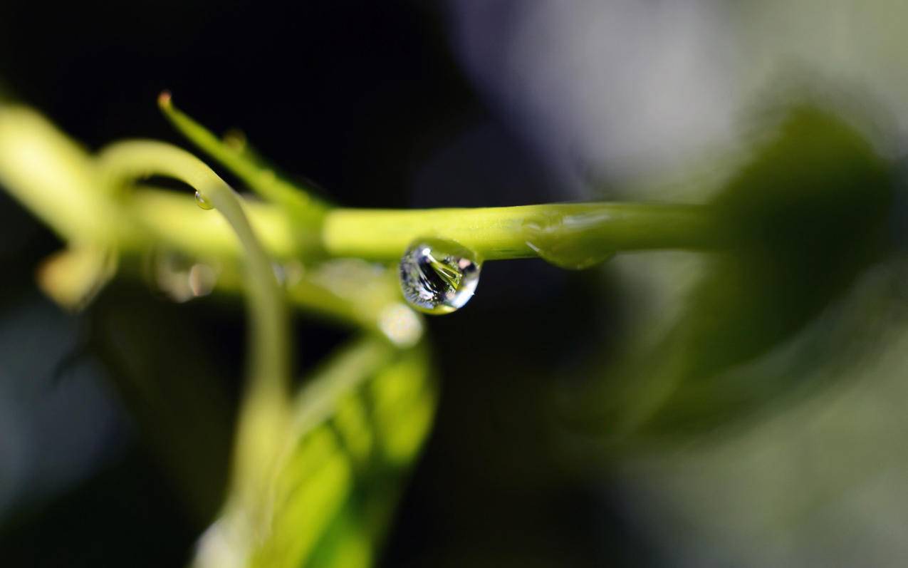 华为下什么加速器可以登ins  ( 轻蜂加速器怎么上ins ) - 55dz账号网