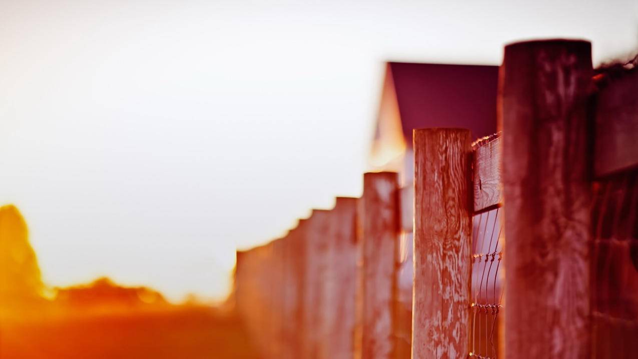 googleplay方舟联机_方舟手游googleplay - google相关 - 55dz账号网