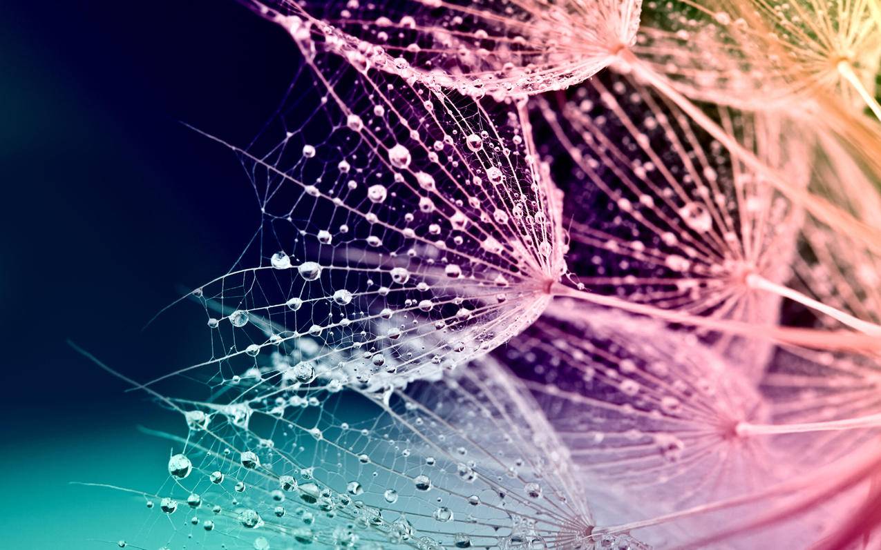 如何自行更换平板电脑电池？-dy业务网