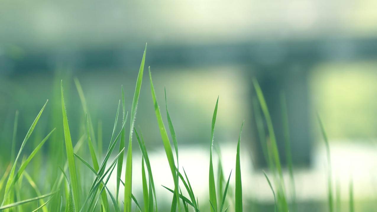 如何发空白消息小红书 - 自助平台 - dy业务网