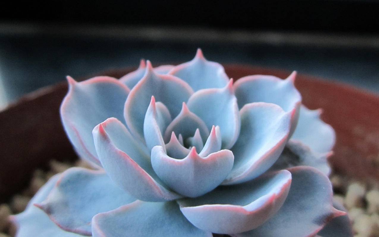 小学数学扫雷游戏怎么玩 - 小学教育 - ks24小时自助