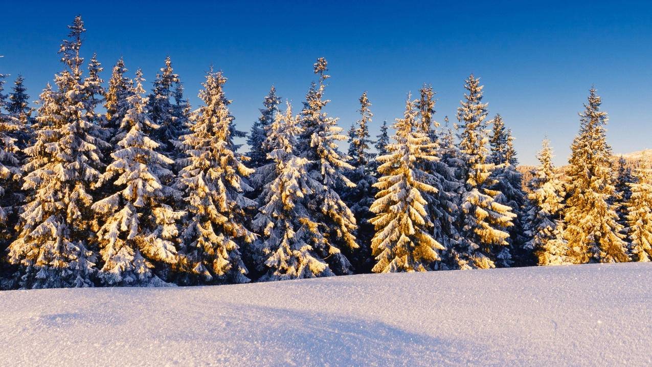 火箭加速器下载版_火箭加速器免费下载 - 注册外服方法 - 55dz账号网