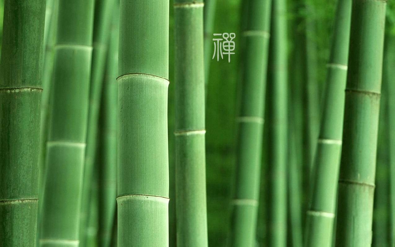 小红书如何做推荐商品 - 网络资讯 - ks业务下单