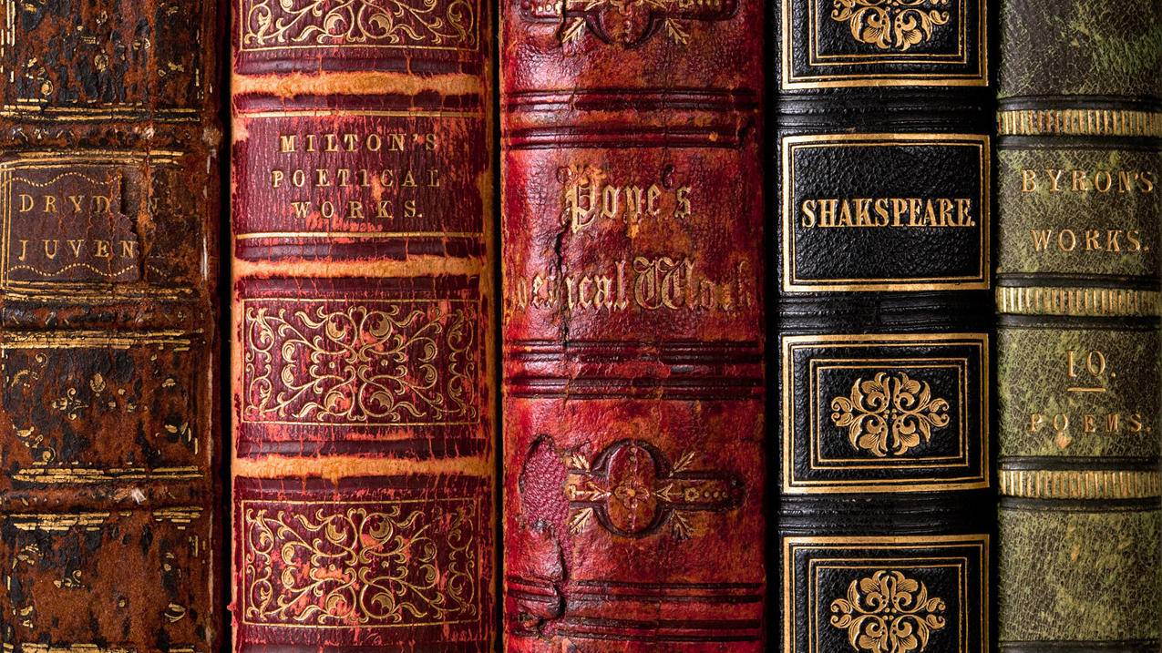 安卓手机怎么查询苹果id账号 ， 苹果手机id,可以,用安卓手机电话号码吗  - 55dz账号网