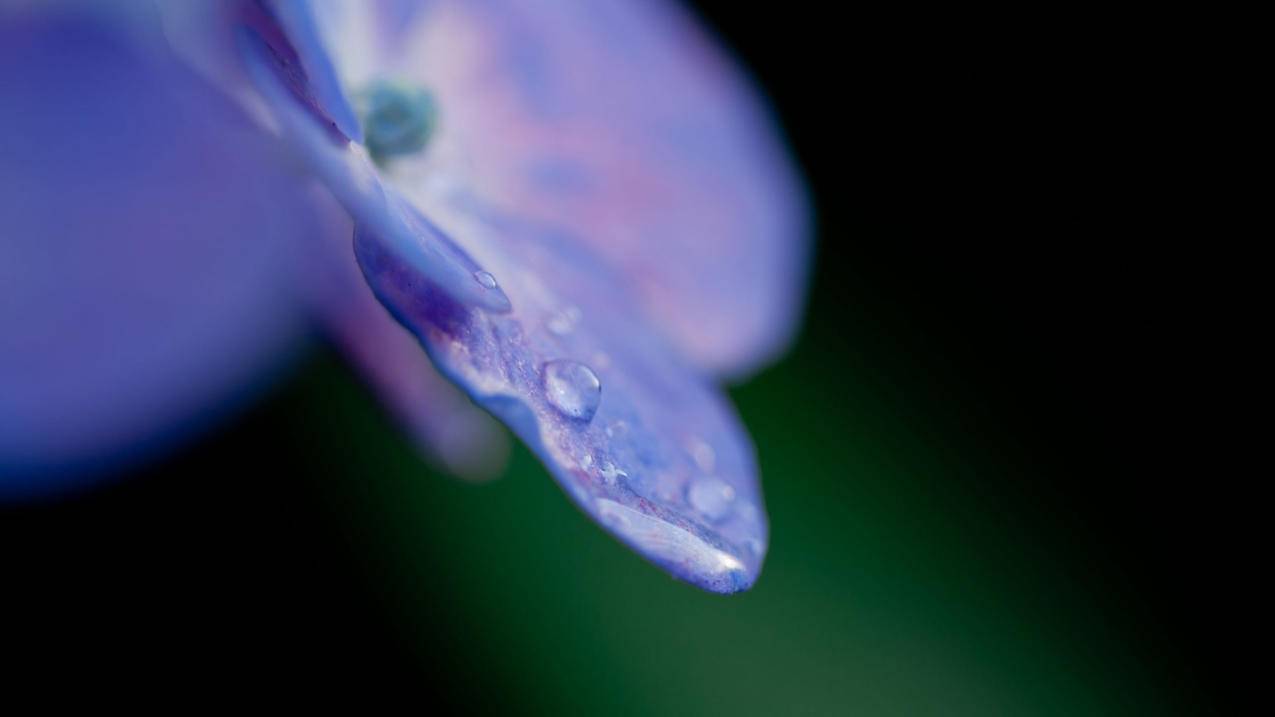 越南apple id密码怎么注册 - 各区苹果ID - 55dz账号网