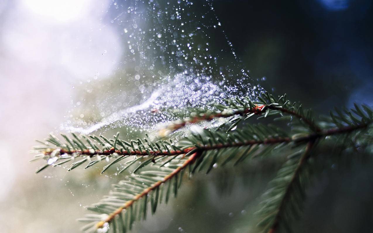 如何注册谷歌账号安卓?  ( 免费注册google账号 ) - 55dz账号网