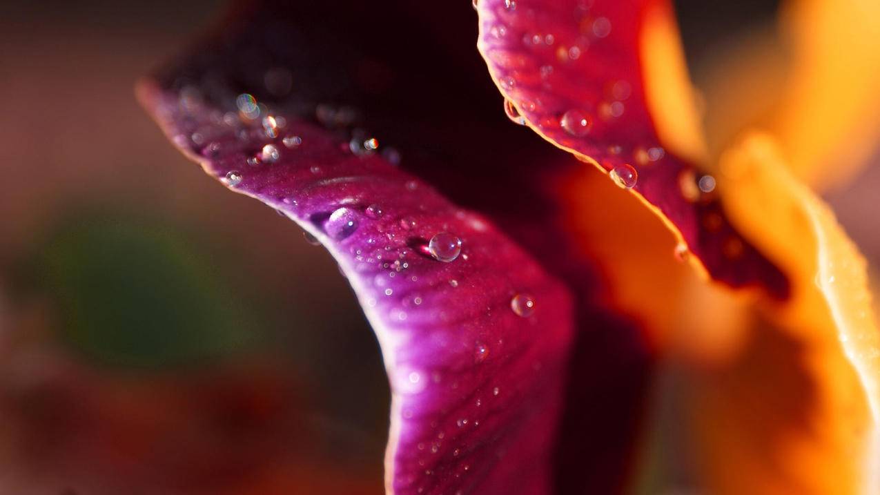 高中数学提分课程有哪些 - 自助下单ks - ks24小时自助