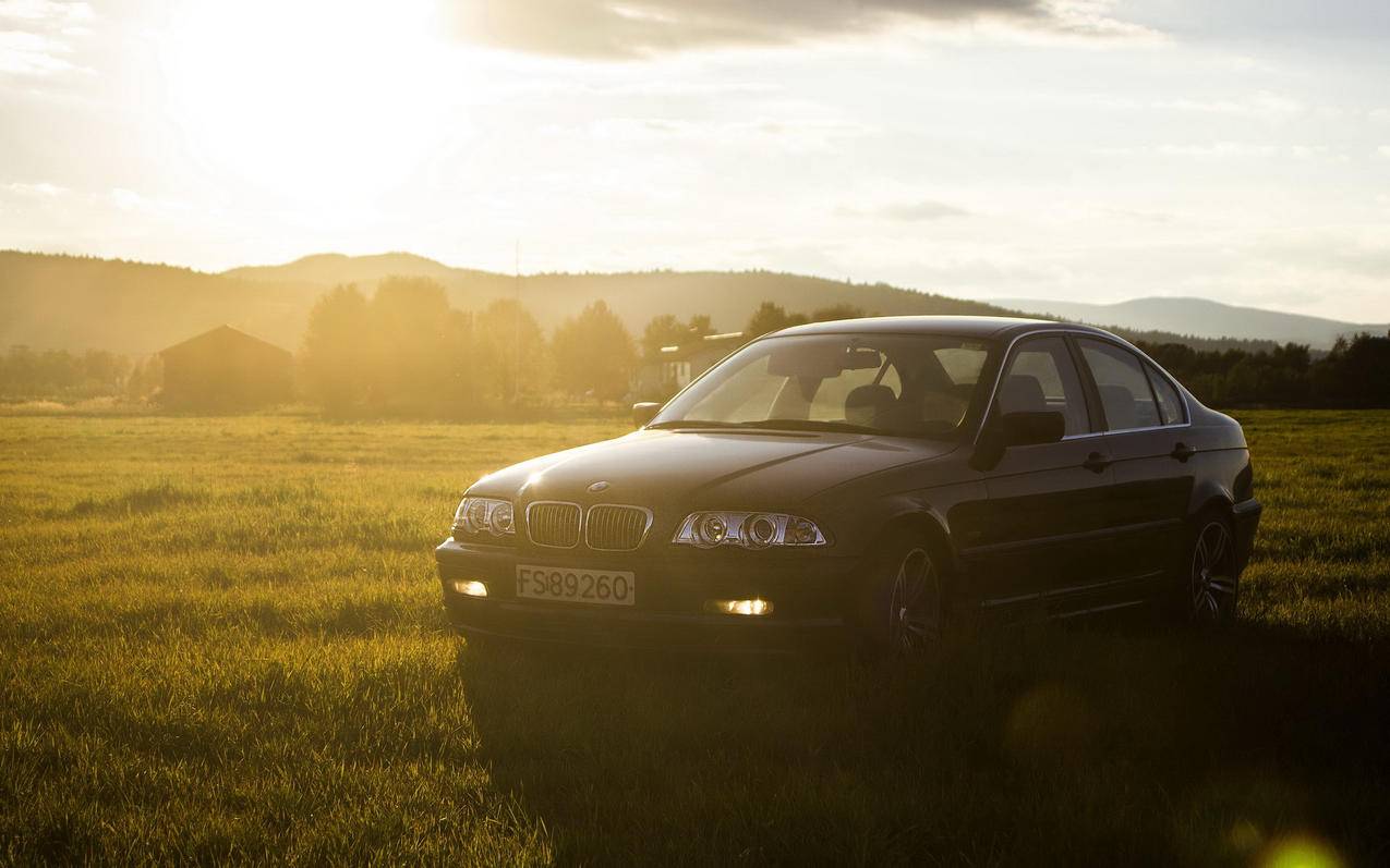 zoom为啥登录不上去_为什么zoom登录不了 - zoom相关 - 55dz账号网