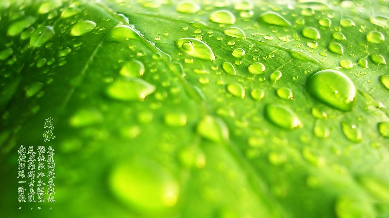 google服务框架下载2016_google服务框架下载不了 - google相关 - 55dz账号网