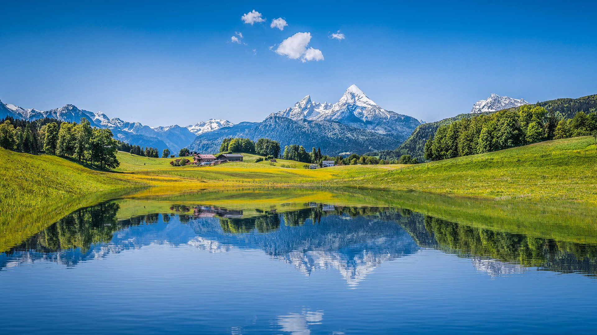 如何用千川投视频？ - 低价业务 - dy业务网