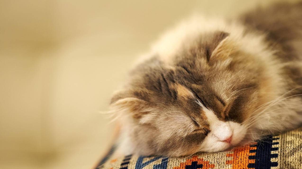 新疆可以使用ins吗_在新疆可以用ins吗 - INS相关 - 55dz账号网