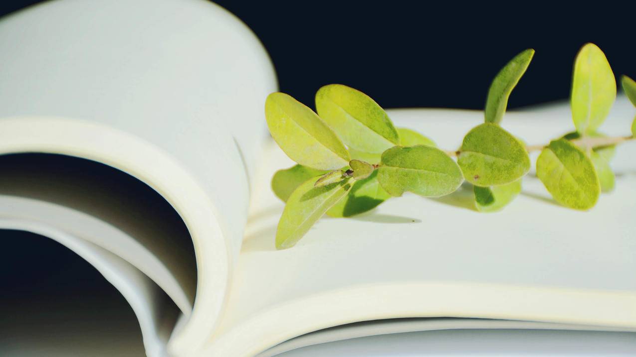 怎么自己创建越南id（如何去越南创业） - 各区苹果ID - 55dz账号网