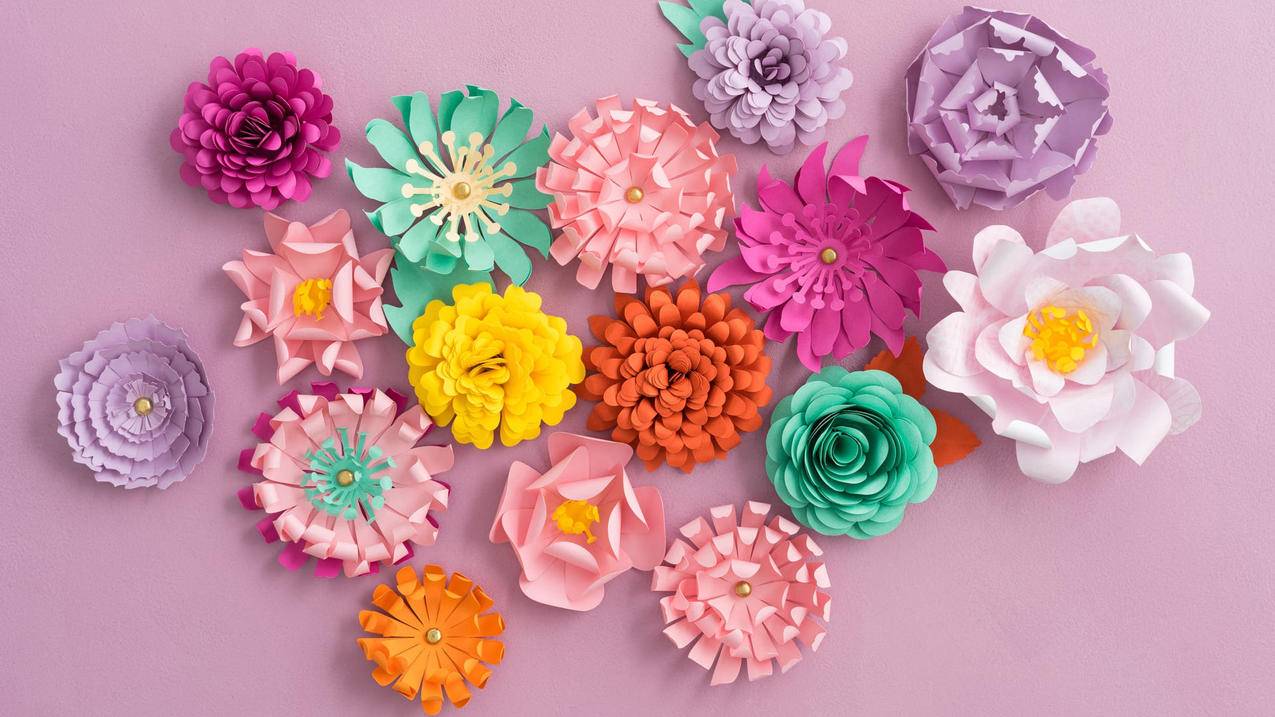 快手代刷自助平台抢置顶-快手粉丝超级低价业务网站