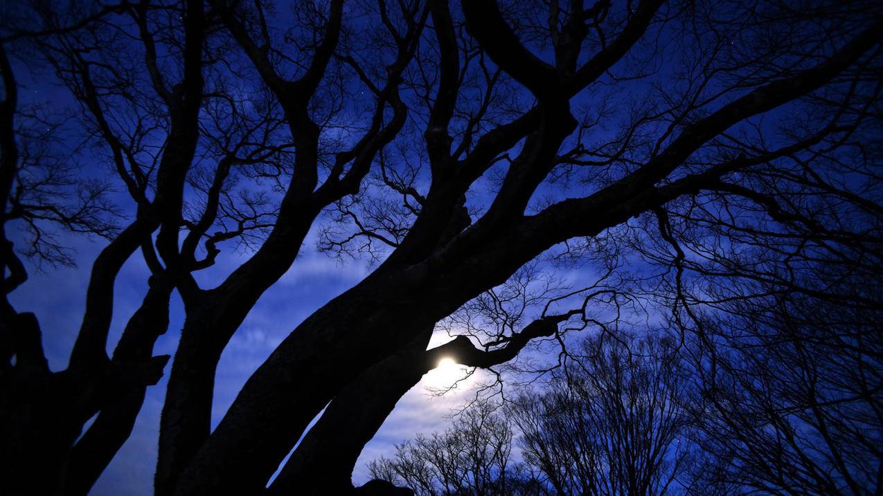 qq刷赞网站全网 最低价啊-1块钱买抖音赞,抖音三元一万粉丝,抖音一百个赞双击微信支付