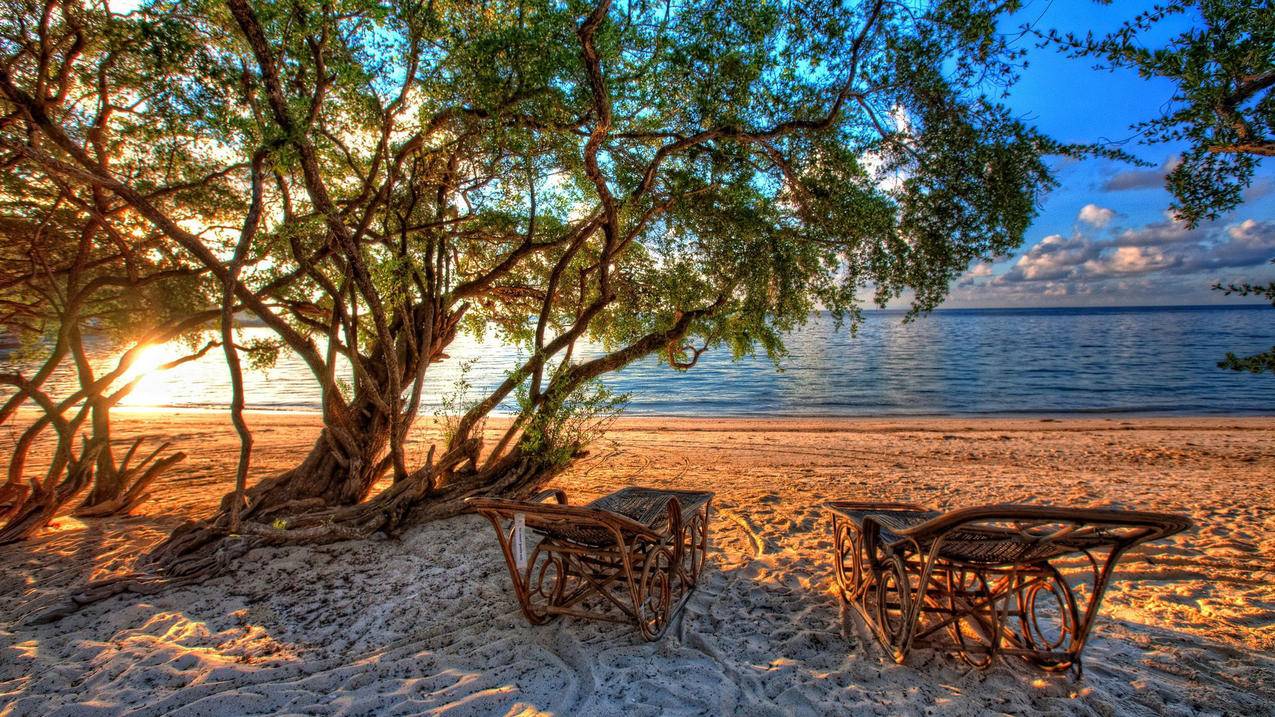 快手点赞一元1000赞 - 2017快手刷赞软件-qq刷赞手机版免费版