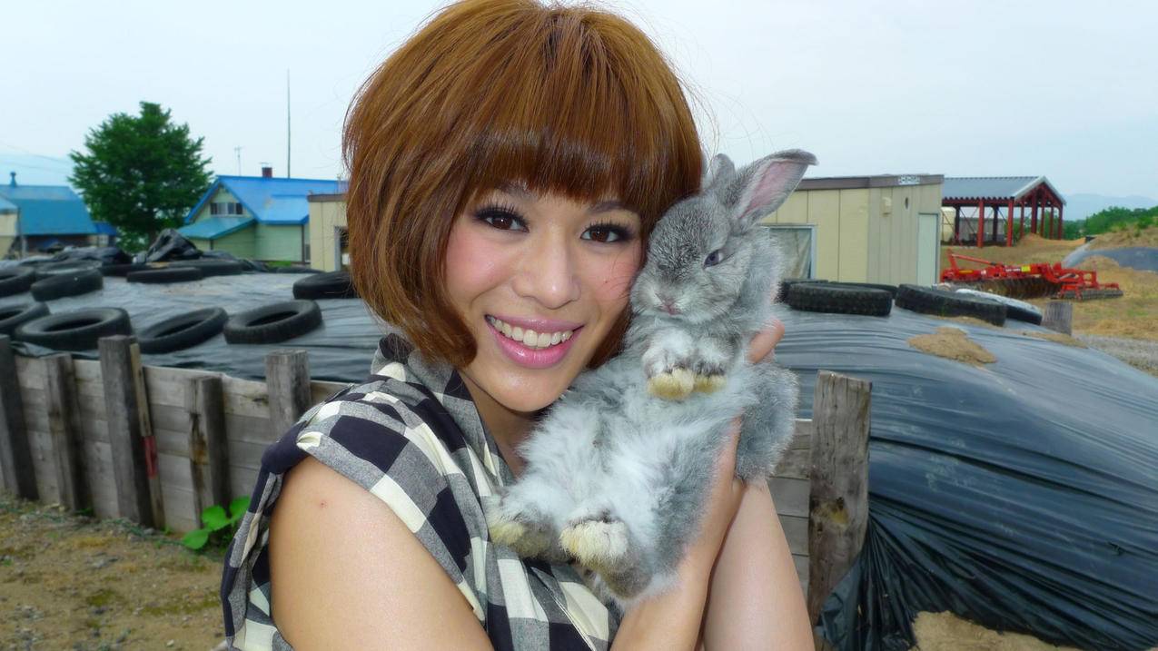 用别的手机登陆越南苹果id可以看到照片吗（用别的手机登陆越南苹果id可以看到照片吗） - 各区苹果ID - 55dz账号网