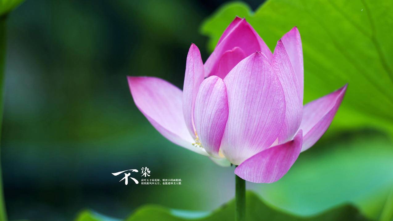 ins为新账户创建账号为什么都不得_ins无法创建账户是什么意思 - INS相关 - 55dz账号网