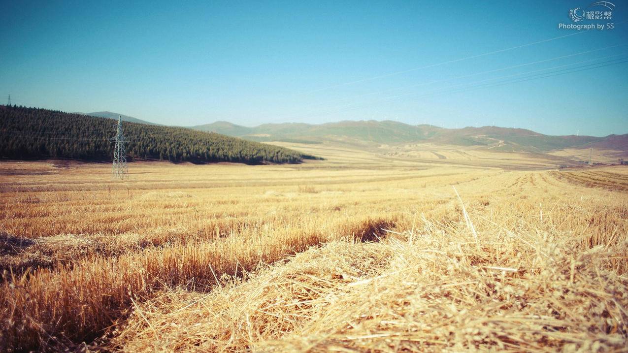 手机邮箱怎么设置_手机邮箱怎么设置自动回复 - gmail相关 - 55dz账号网