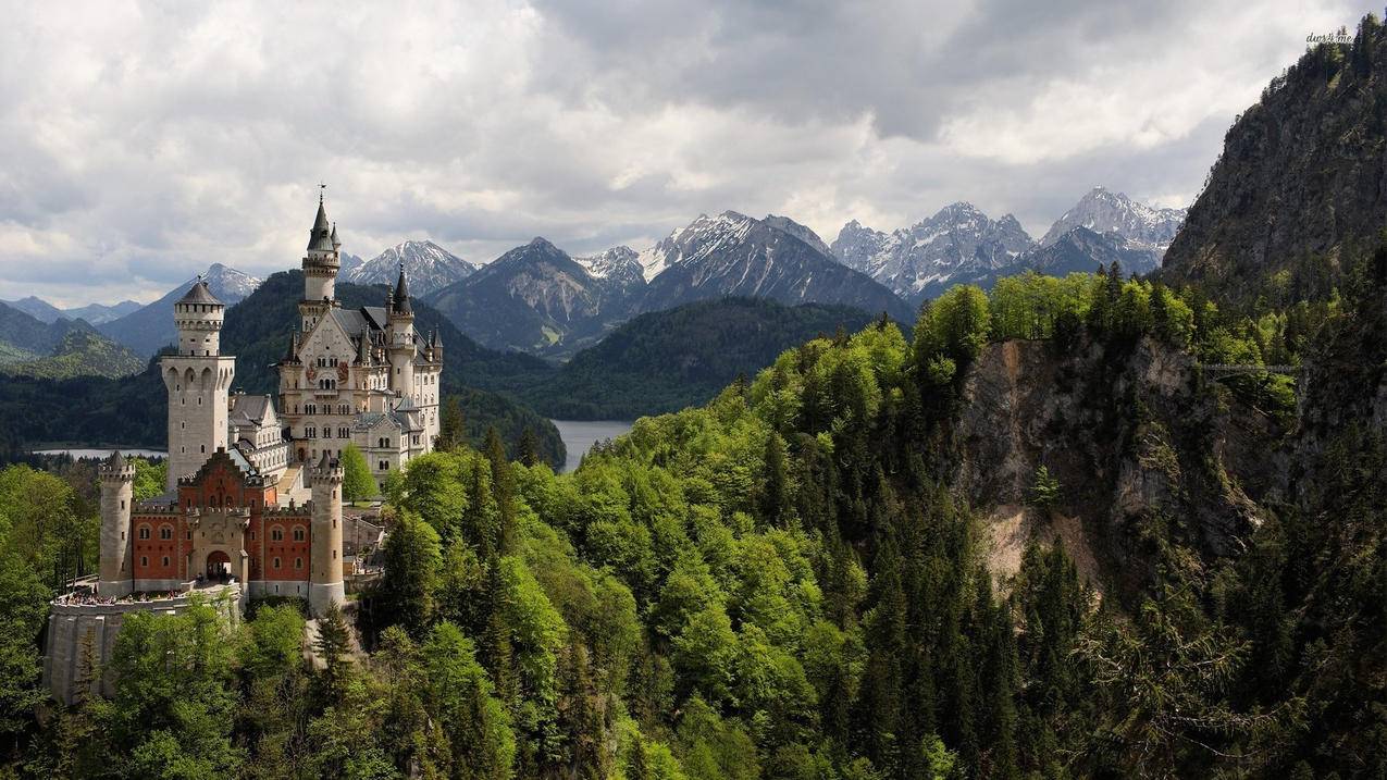 tiktok全球月活跃用户数_tiktok活跃人数 - 苹果APP下载 - 55dz账号网