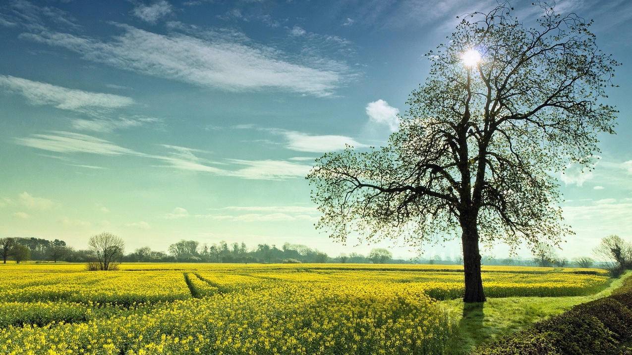 免费刷qq钻 免费刷qq钻 - qq自助下单平台低价,ks业务免费自助下单平台雷神_伊诺自助下单平台