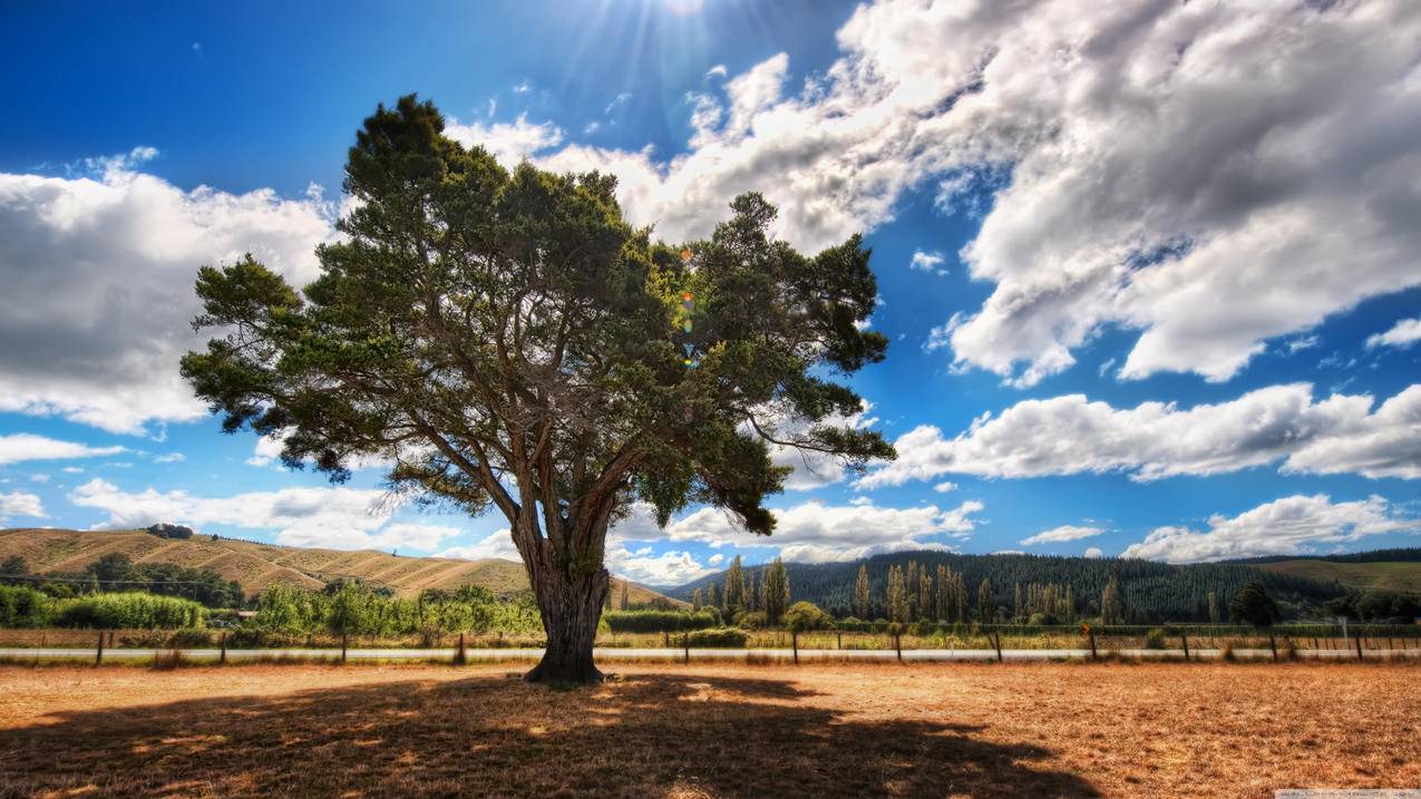 深圳tiktok直播基地_tiktok直播间 - tiktok相关 - 55dz账号网