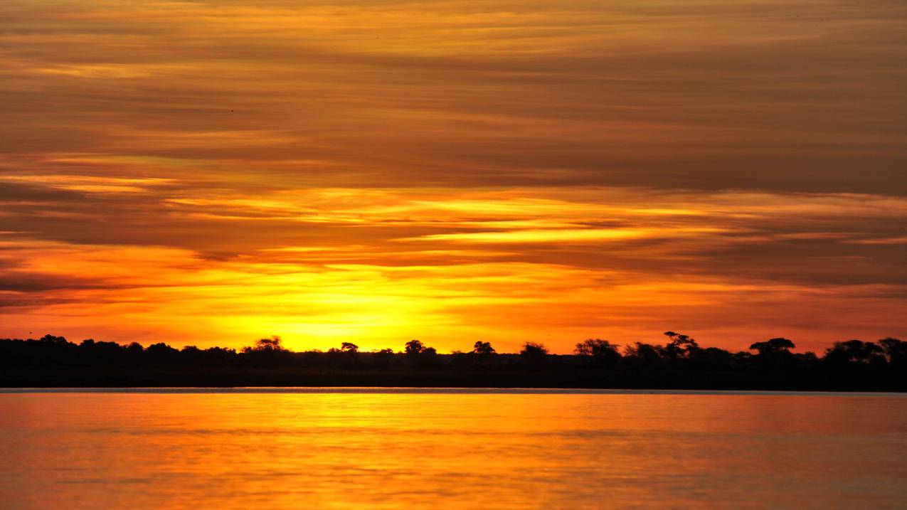 推特历史记录在哪  ( 推特用户名忘记了怎么办 ) - 55dz账号网