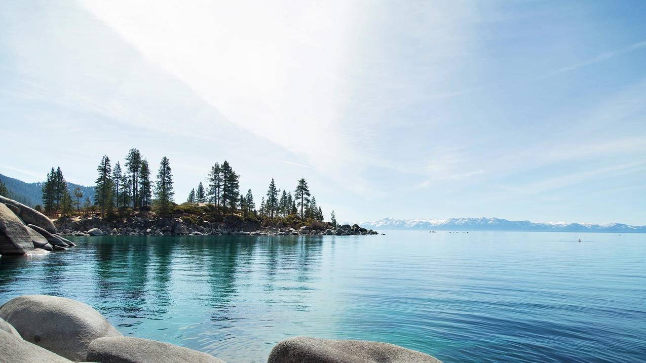 拼多多红包助力，刷出惊喜福利_拼多多助力