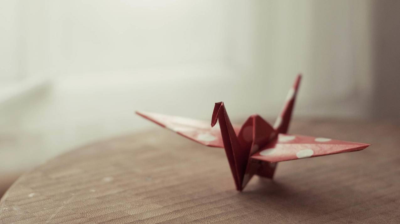 台湾appleid被别人改了密码_appleid被别人改密码怎么办 - 台湾苹果ID - 55dz账号网