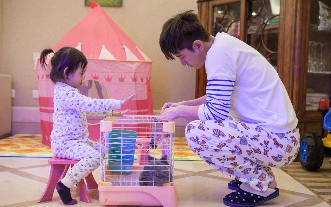 AmazonSageMakerCanvas产品测评——人人都是“业务分析师” - Apple ID相关 - 55dz账号网