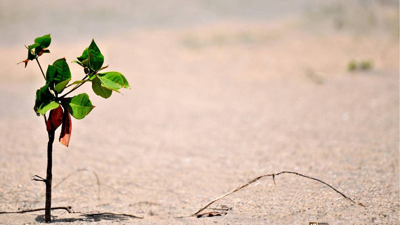 耐克airzoom钉鞋_zoomx钉鞋 - zoom相关 - 55dz账号网