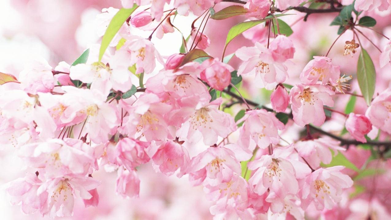 如何在小红书发布抽奖笔记？ - 网络资讯 - ks业务下单