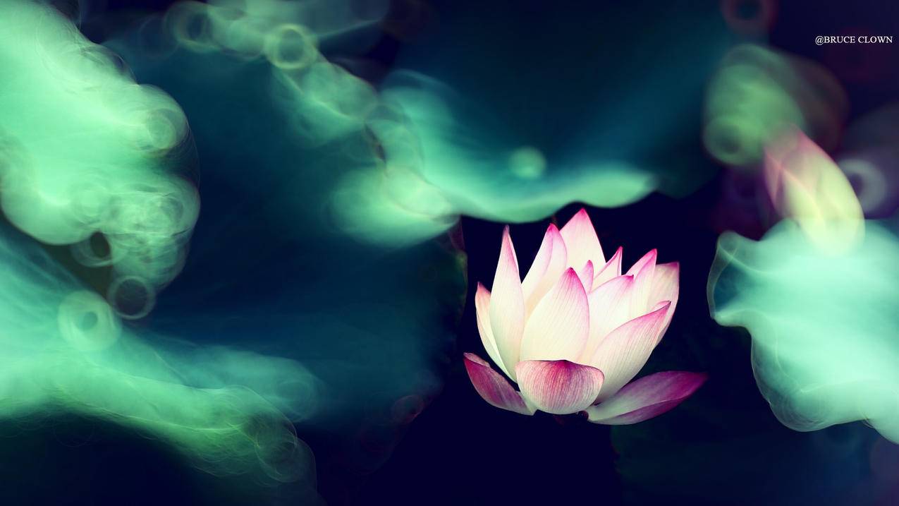 FF发布第二品牌Faraday X：对标丰田 专注增程式混动车型-苹果id平台