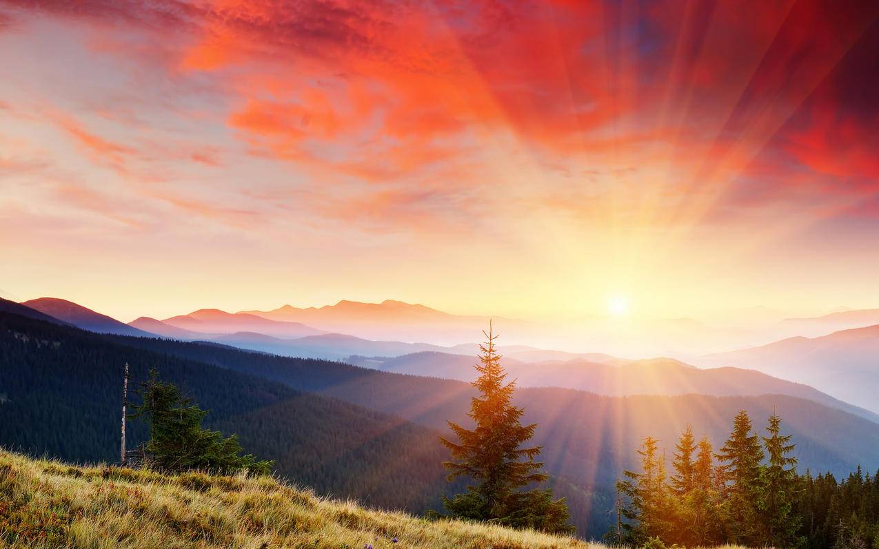 1元1万 - 抖音快手粉丝网站,快手低价业务自助平台,快手涨粉网站可以吗,快手浏览量刷免费蚂蚁