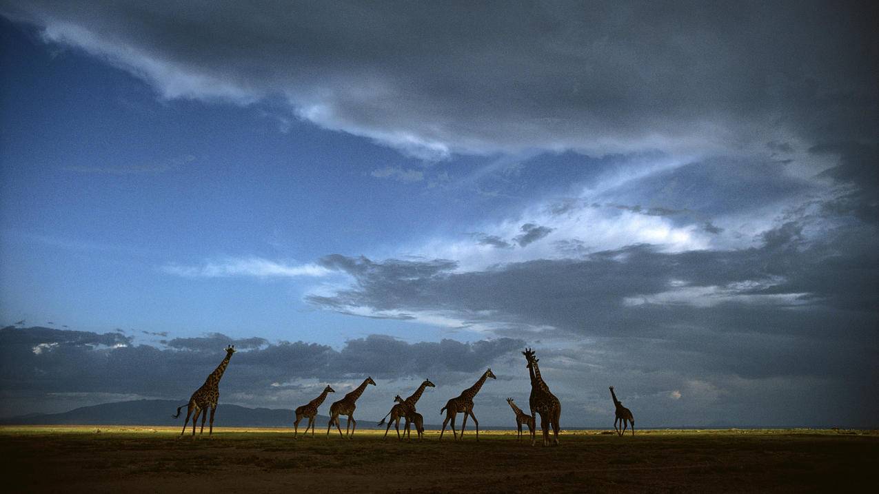 香港苹果id永久注销怎么恢复_苹果id永久注销了怎么恢复账号 - 香港苹果ID - 55dz账号网
