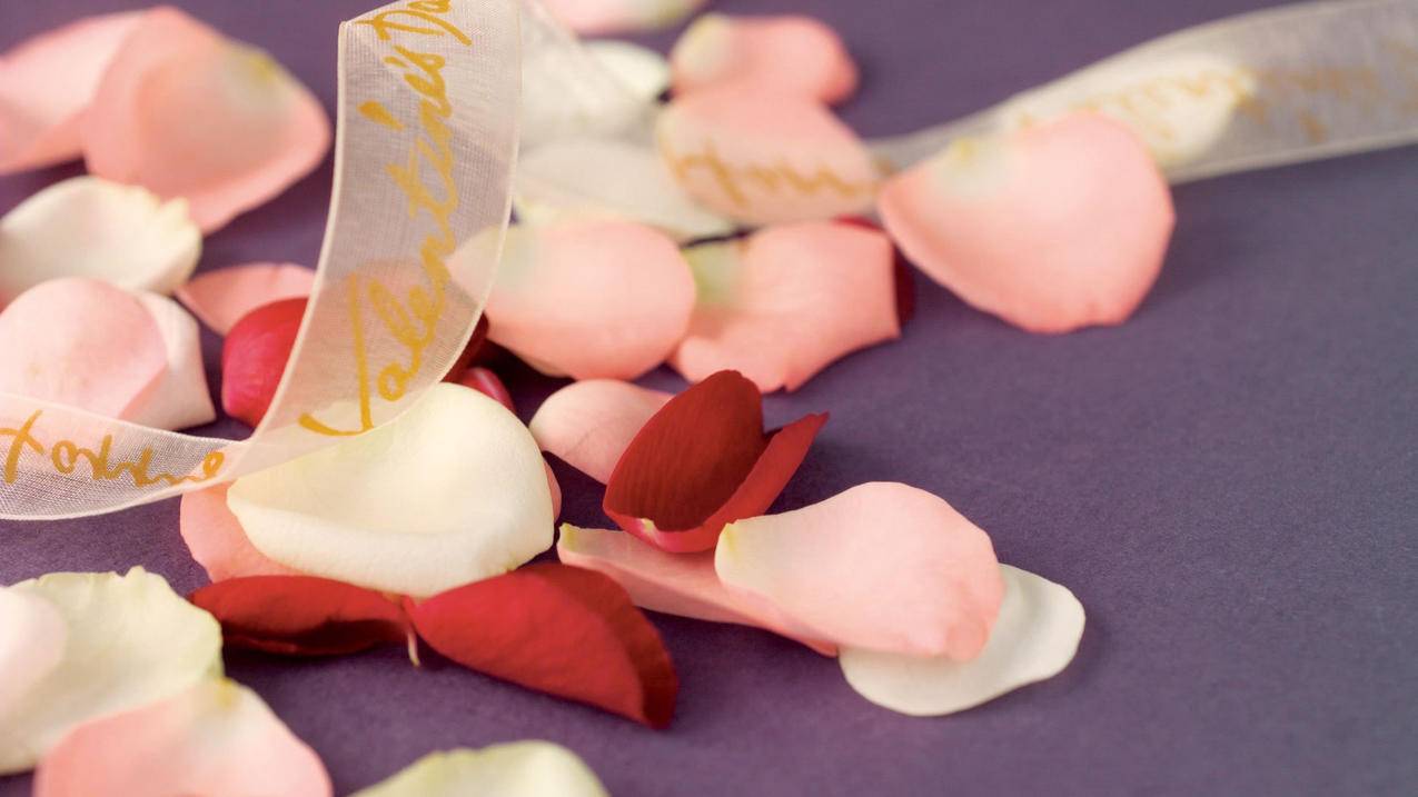 ios怎么下载clashforwindows_ios 怎么下载 - clash相关 - 55dz账号网