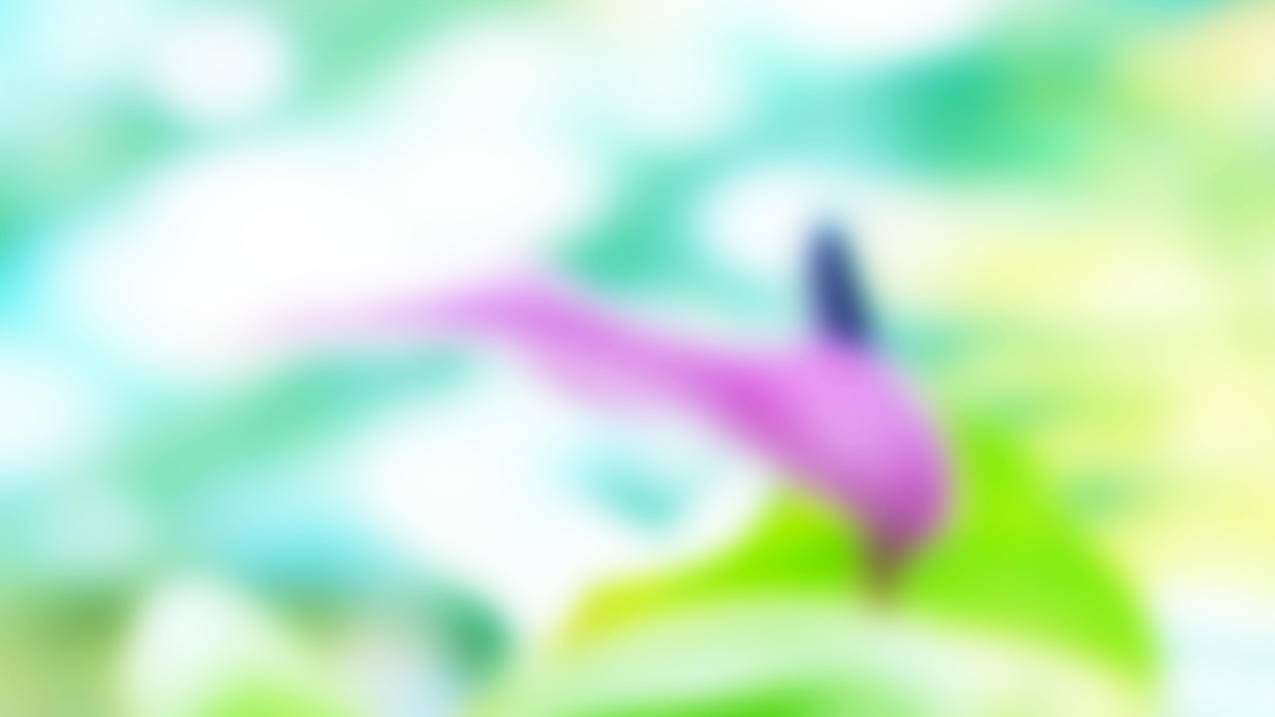 苹果电脑怎么下载zoom视频会议_zoom视频会议苹果手机下载 - zoom相关 - 55dz账号网