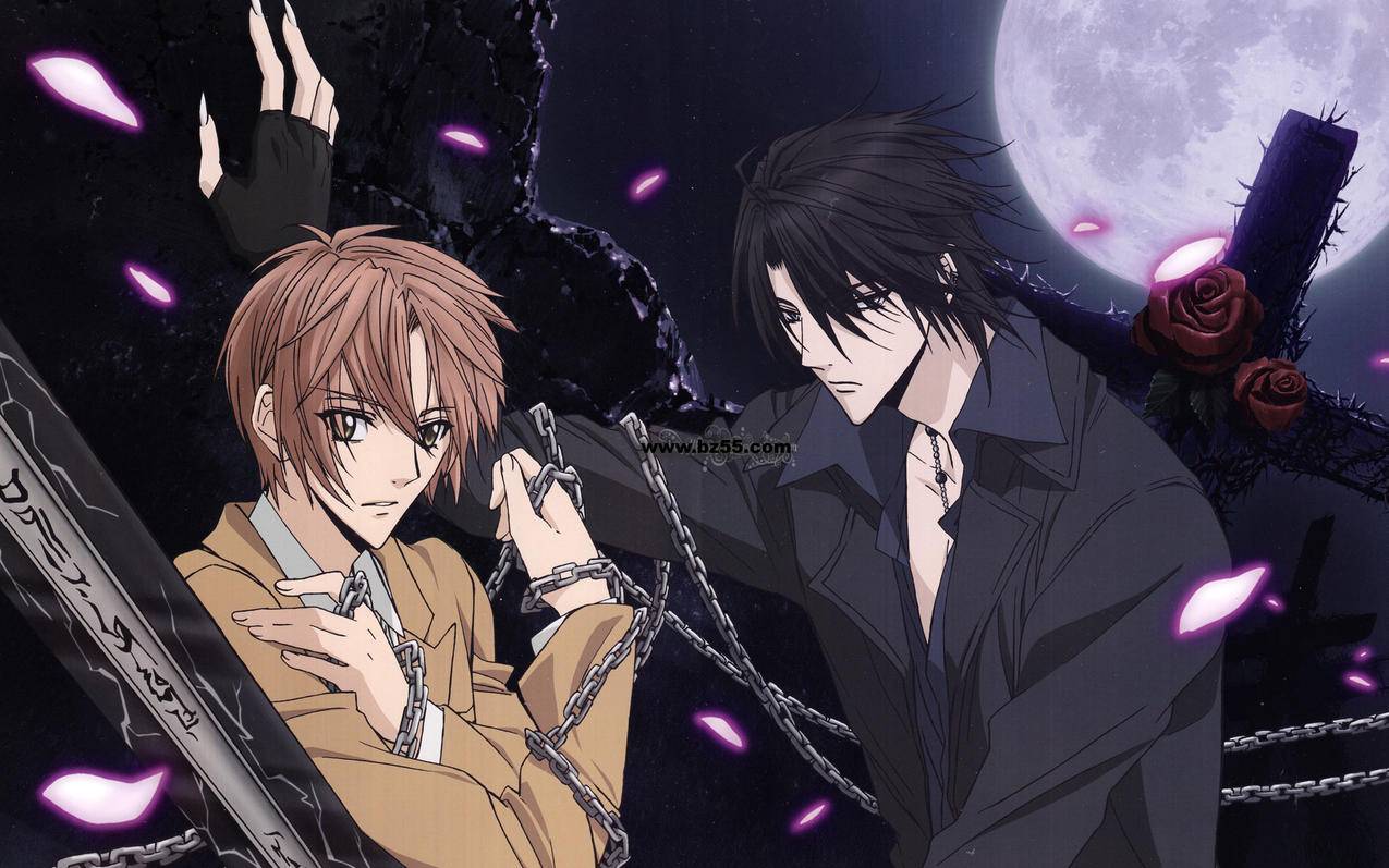 安卓手机怎么玩国外抖音_国外安卓怎么下载国内抖音 - messenger相关 - 55dz账号网