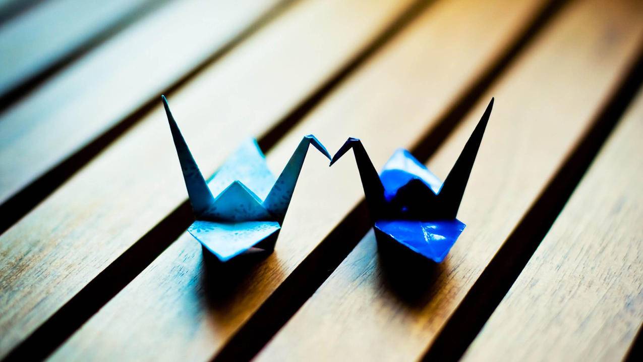 油管大师分析正泰_油管大师分析正泰的名言 - youtube相关 - 55dz账号网