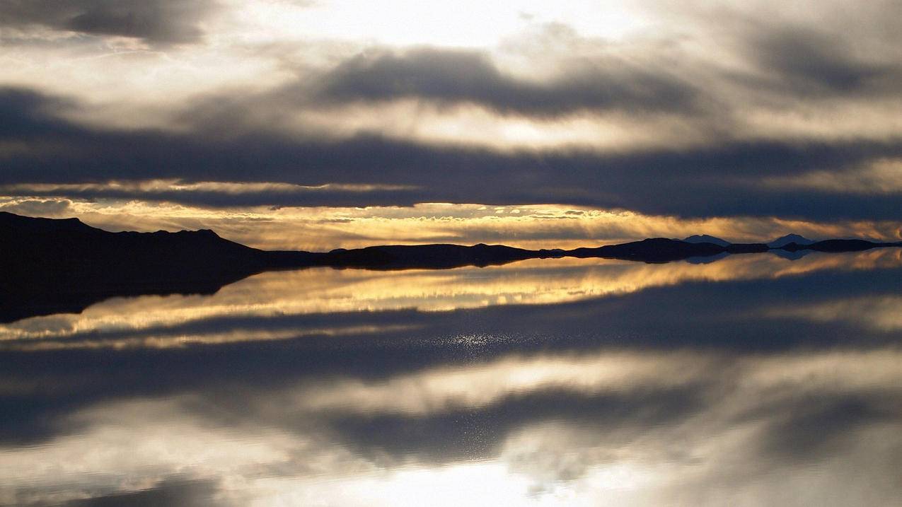 MESSENGERdownload的简单介绍 - gmail相关 - 55dz账号网