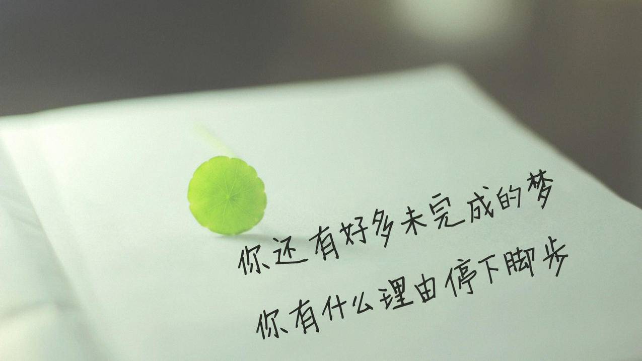 红牛卡盟 - qq快手赞自助平台真人粉丝qq支付