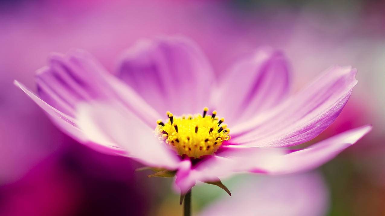 nba2k16投篮条哪里命中率高_nba2k14投篮命中率 - IOS分享 - 55dz账号网