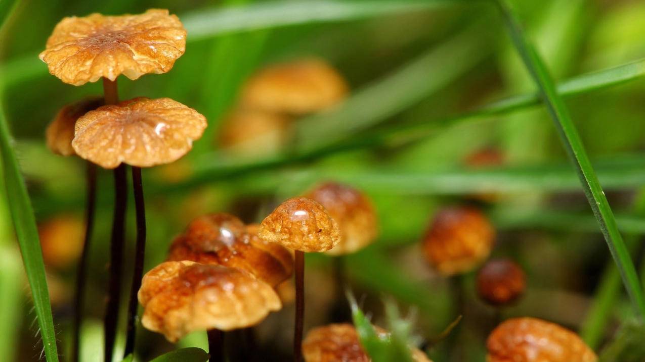 推特账号无法关注别人_推特无法关注用户 - tw相关 - 55dz账号网