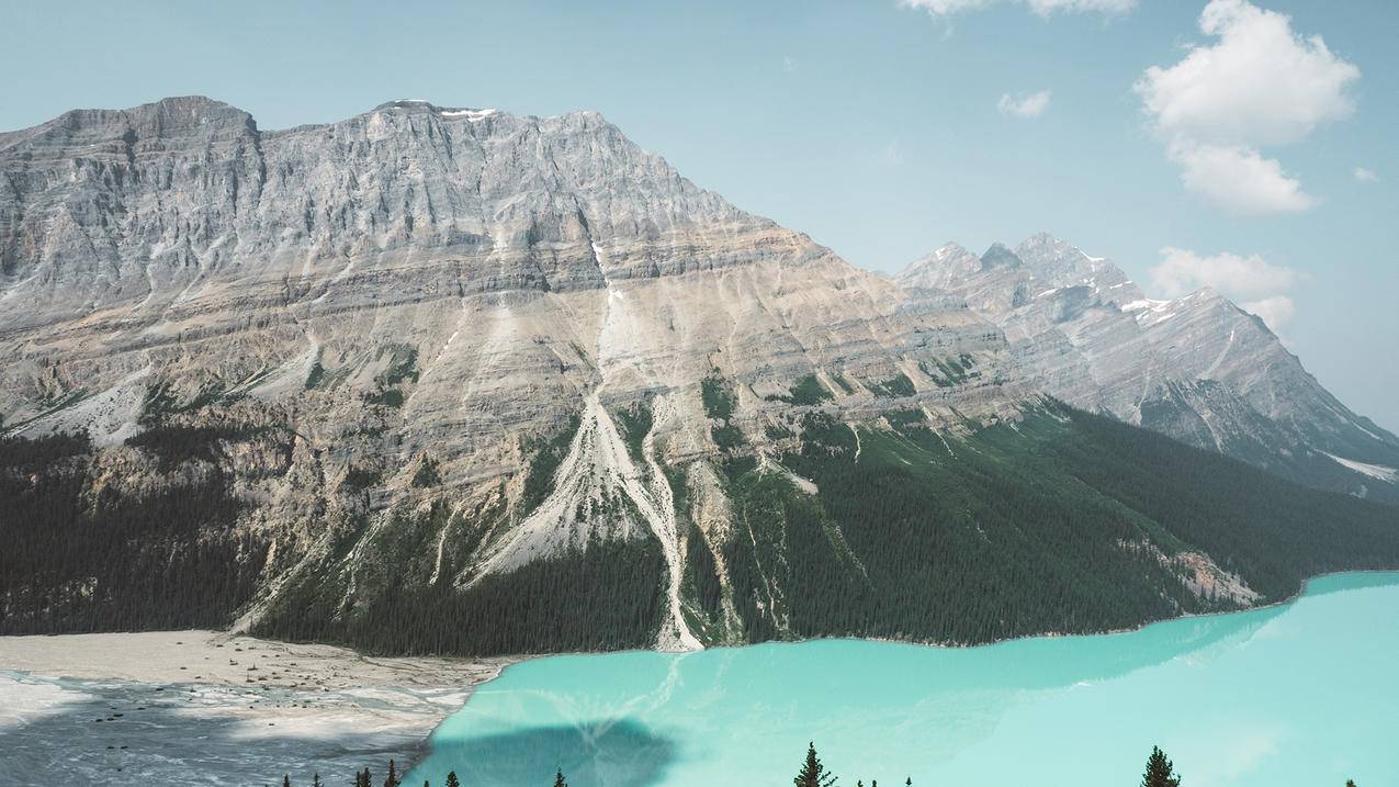 包含shadowrocket小火箭安卓下载的词条 - 注册外服方法 - 55dz账号网