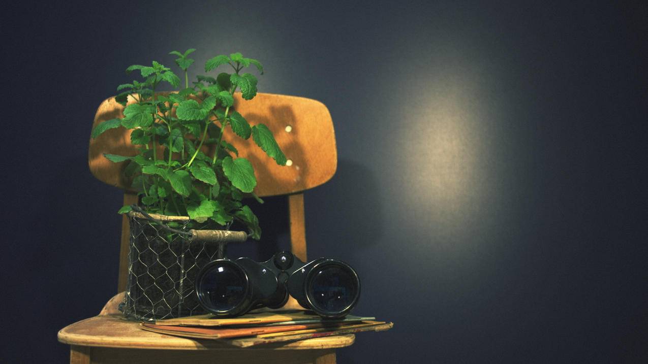 香港苹果id怎么申请退款_苹果手机id退款 - 香港苹果ID - 55dz账号网